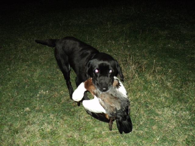 Name:  picture 3831.jpg
Views: 366
Size:  162.8 KB