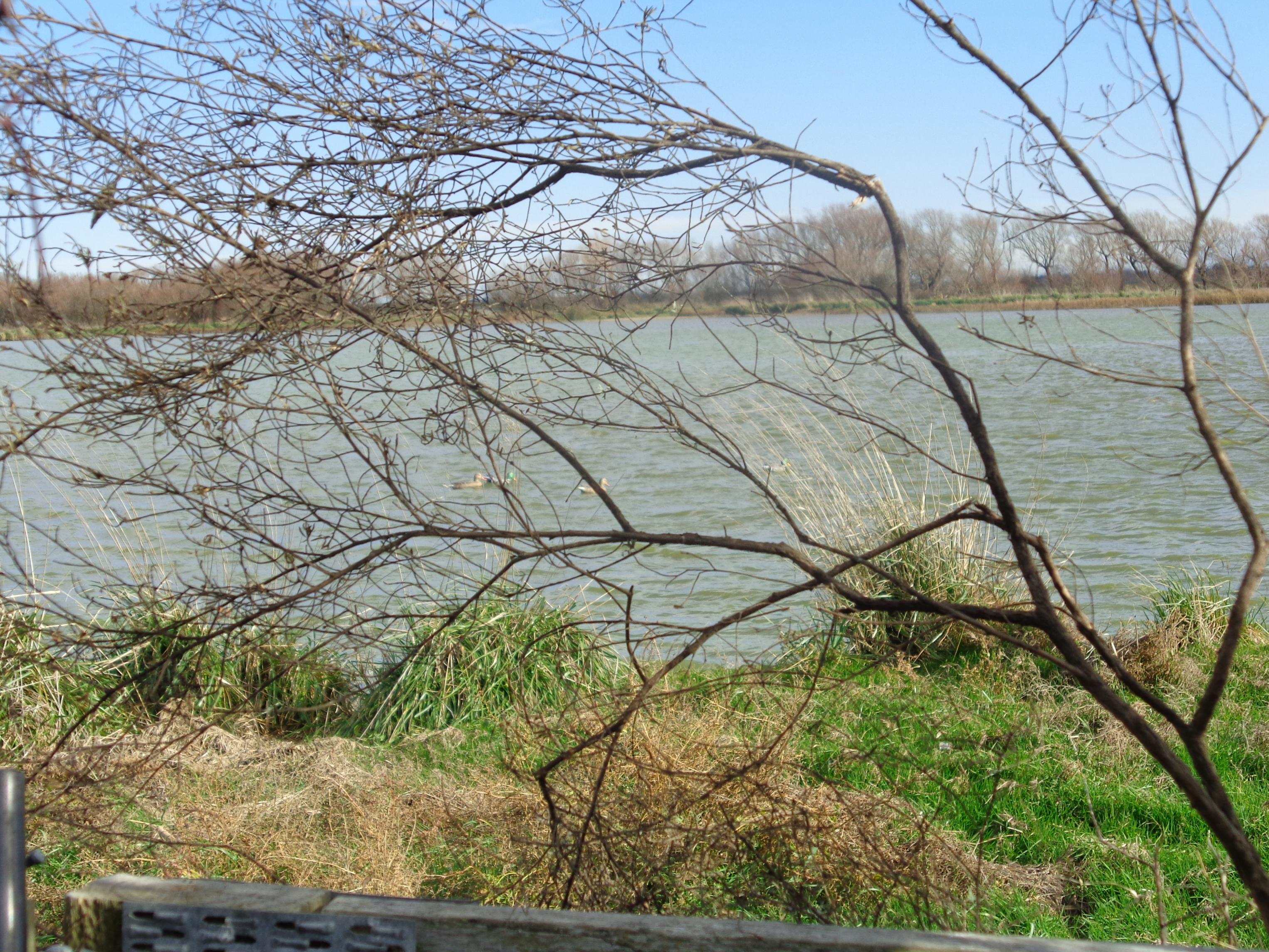 Name:  DSC01187.jpg
Views: 539
Size:  1.17 MB