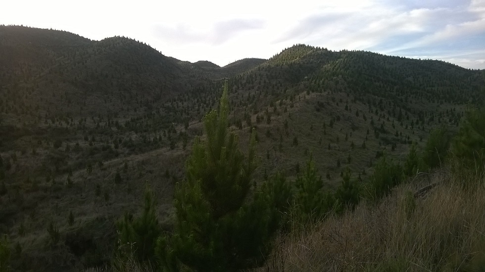 Name:  Hills 1.jpg
Views: 413
Size:  185.7 KB