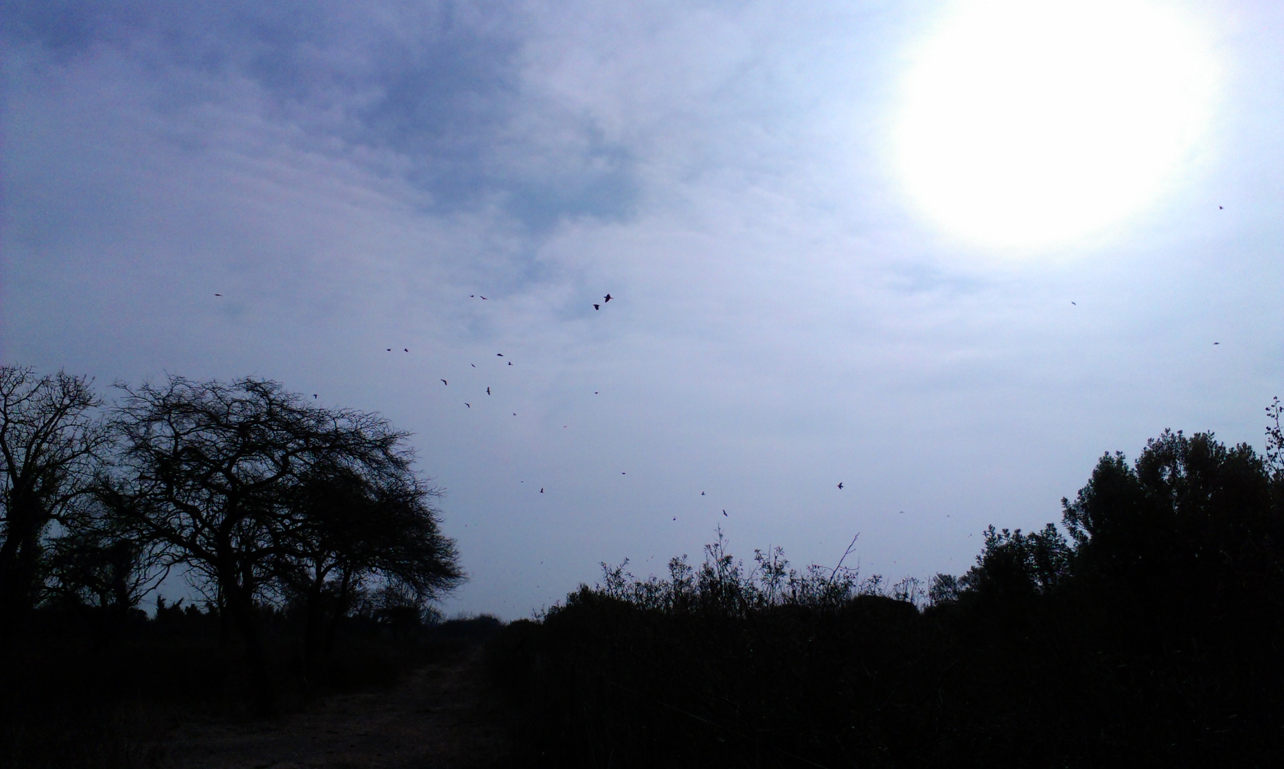 Name:  IMAG0058.jpg
Views: 332
Size:  505.8 KB