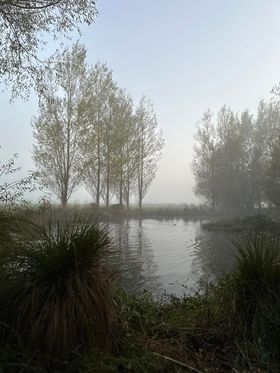 Name:  Duck Pond 2024.jpg
Views: 369
Size:  20.7 KB