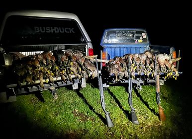 Name:  Duck Season 2024.jpg
Views: 378
Size:  28.6 KB