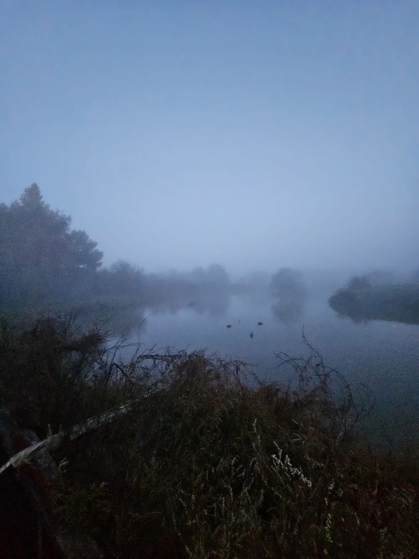 Name:  fog.jpg
Views: 114
Size:  141.0 KB