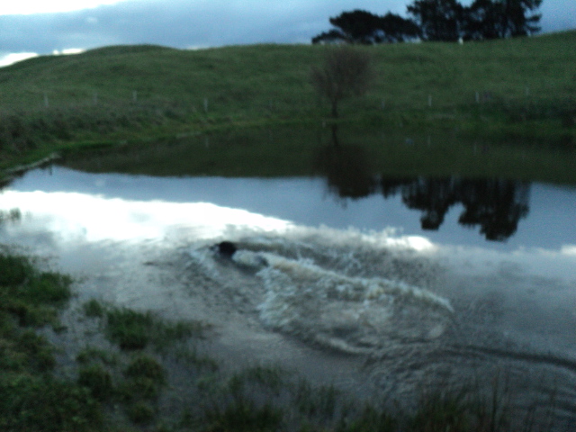 Name:  picture 3858.jpg
Views: 391
Size:  162.4 KB