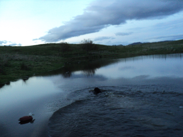 Name:  picture 3861.jpg
Views: 213
Size:  162.3 KB