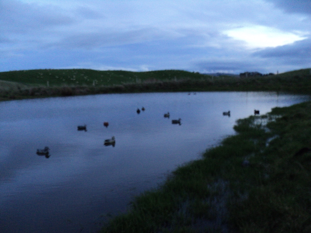 Name:  picture 3863.jpg
Views: 206
Size:  164.6 KB