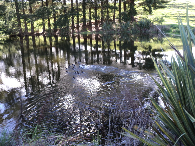 Name:  picture 193.jpg
Views: 460
Size:  165.0 KB