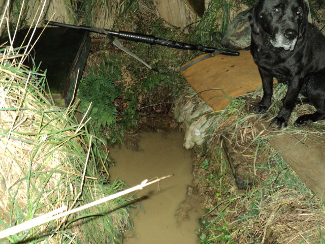 Name:  picture 3900.jpg
Views: 357
Size:  164.4 KB