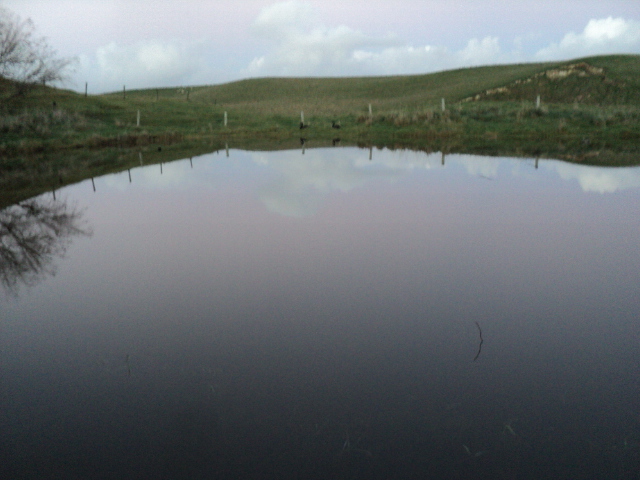 Name:  picture 3907.jpg
Views: 275
Size:  161.2 KB