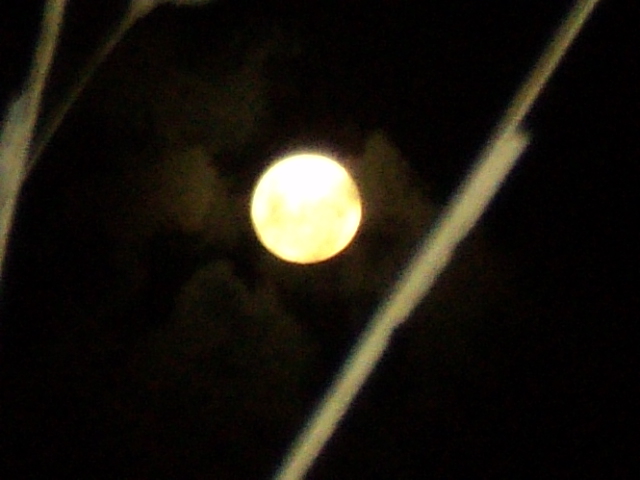 Name:  picture 3912.jpg
Views: 284
Size:  154.2 KB