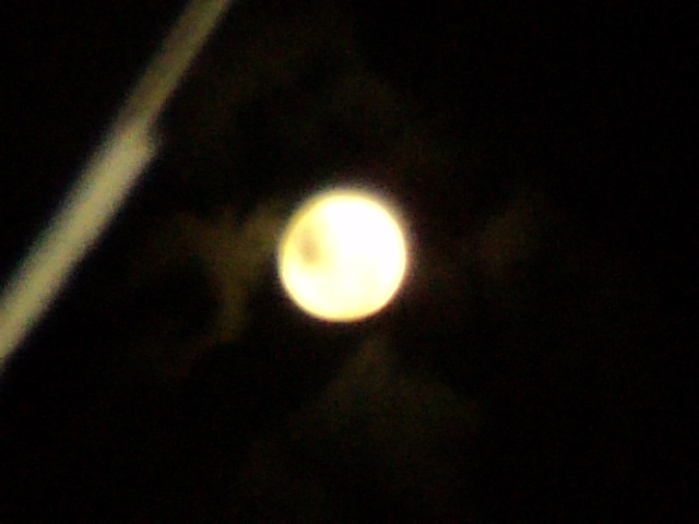 Name:  picture 3913.jpg
Views: 300
Size:  146.3 KB