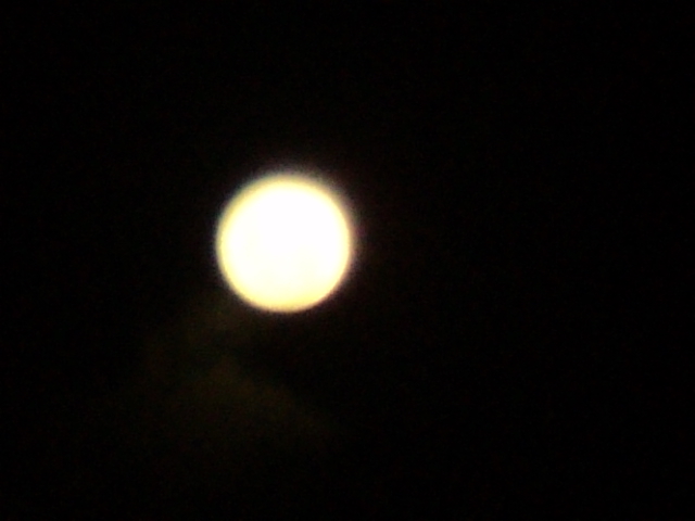 Name:  picture 3918.jpg
Views: 328
Size:  142.6 KB