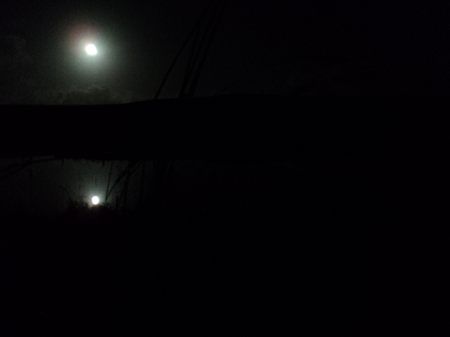 Name:  picture 3920.jpg
Views: 266
Size:  110.2 KB
