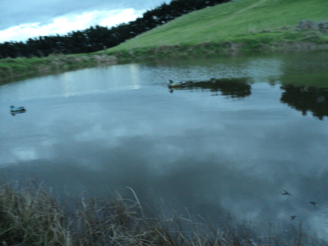 Name:  picture 3939.jpg
Views: 403
Size:  165.0 KB