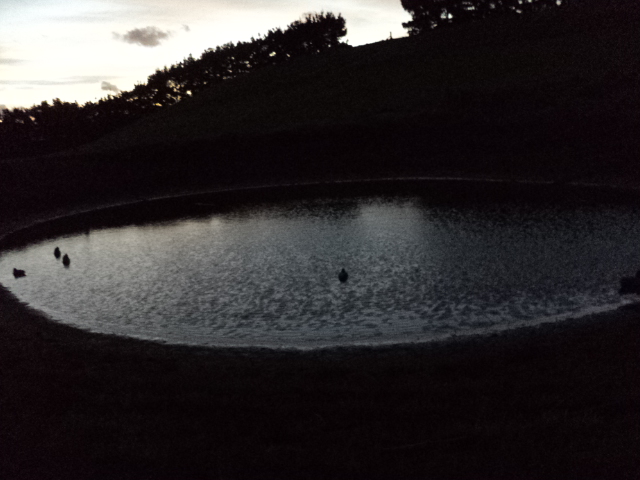 Name:  picture 3782.jpg
Views: 475
Size:  164.1 KB