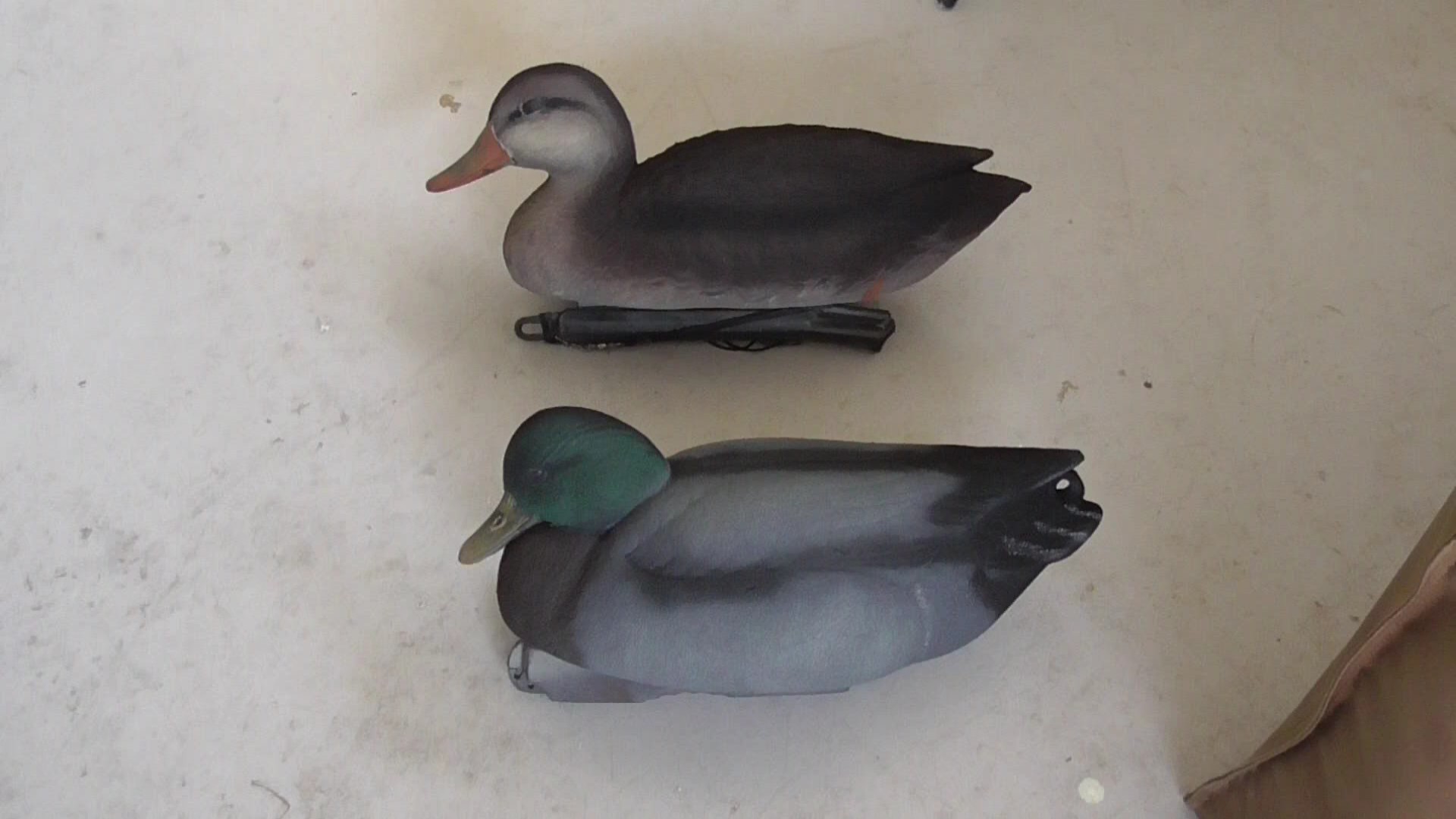 Name:  Flocked decoys.jpg
Views: 100
Size:  184.4 KB