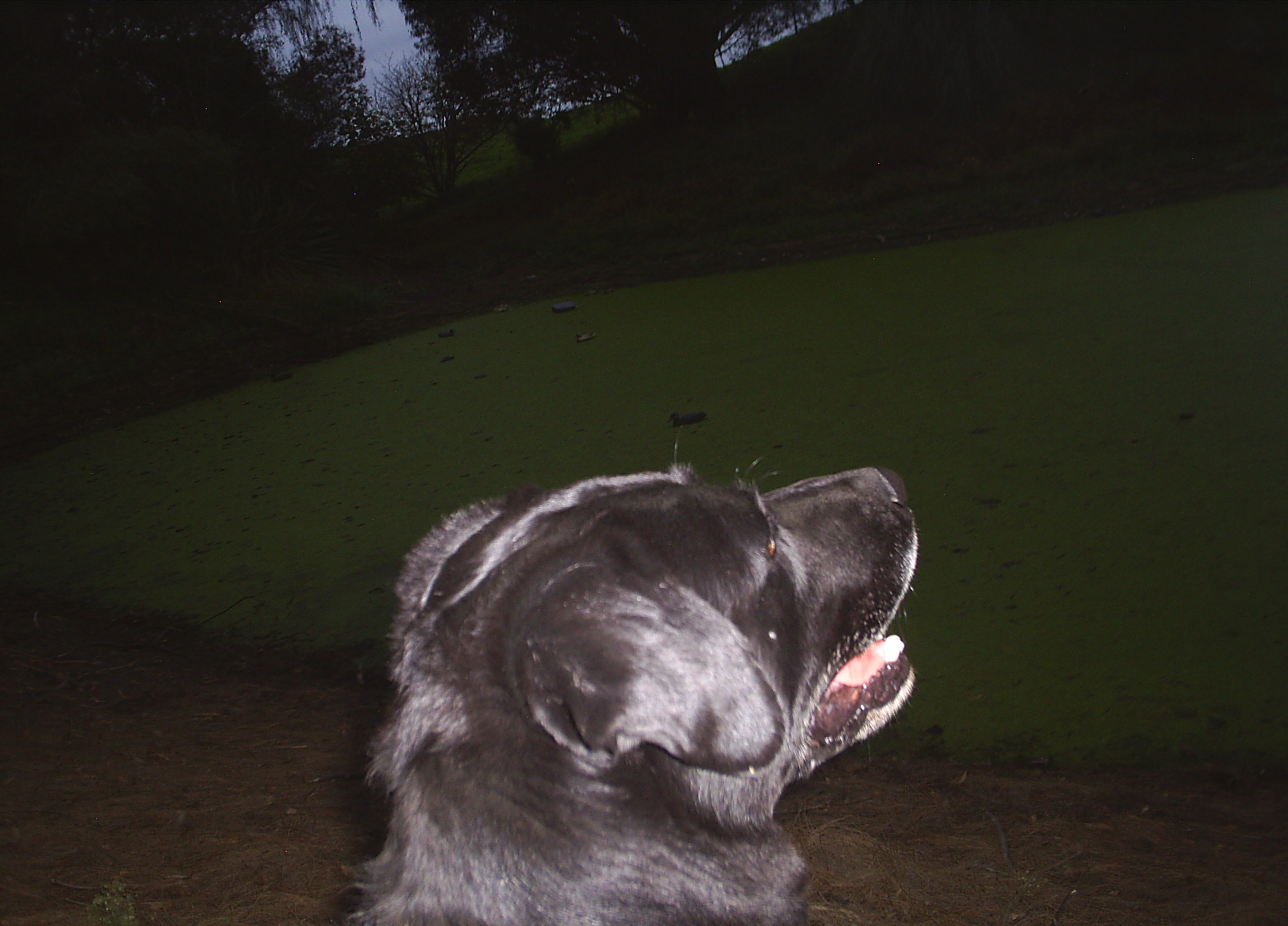 Name:  picture 9794.JPG
Views: 15
Size:  614.6 KB