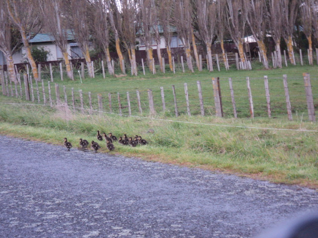 Name:  picture 4374.jpg
Views: 245
Size:  164.5 KB