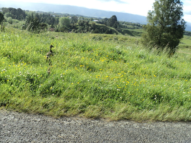 Name:  picture 4723.jpg
Views: 297
Size:  163.9 KB