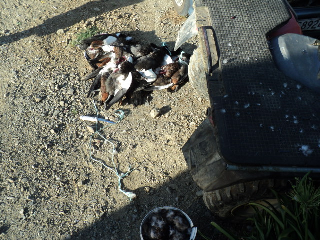 Name:  picture 5153.jpg
Views: 255
Size:  163.4 KB