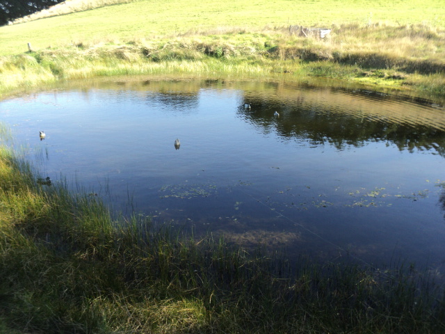 Name:  picture 5679.jpg
Views: 212
Size:  164.0 KB