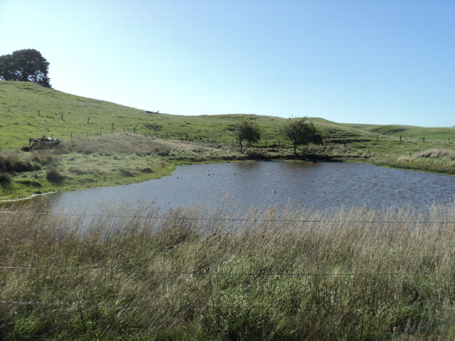 Name:  picture 5681.jpg
Views: 211
Size:  163.4 KB