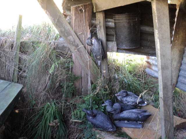 Name:  picture 5680.jpg
Views: 227
Size:  165.2 KB