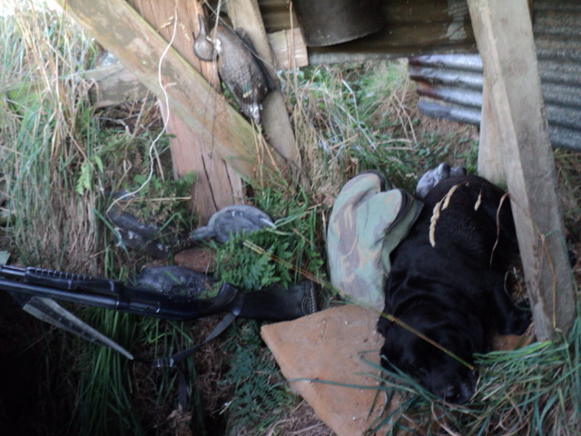 Name:  picture 5690.jpg
Views: 266
Size:  162.7 KB
