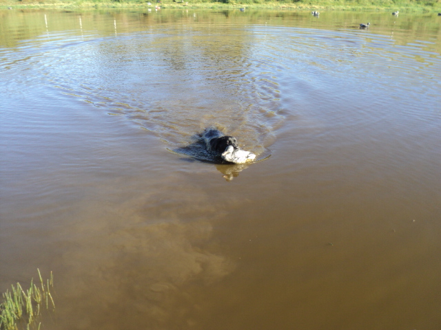 Name:  picture 5696.jpg
Views: 290
Size:  163.5 KB