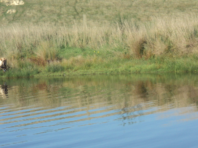 Name:  picture 5702.jpg
Views: 267
Size:  165.2 KB