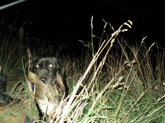 Name:  picture 5712.jpg
Views: 255
Size:  164.7 KB