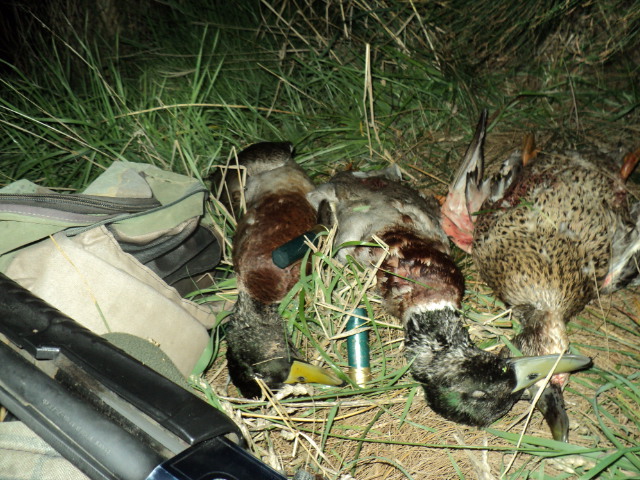 Name:  picture 5713.jpg
Views: 257
Size:  164.2 KB