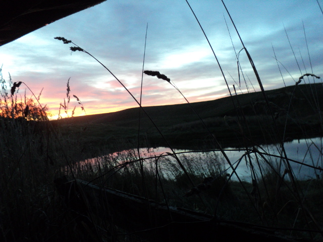 Name:  picture 5719.jpg
Views: 253
Size:  164.1 KB