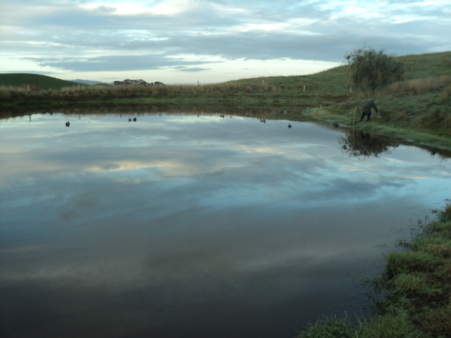 Name:  picture 5723.jpg
Views: 255
Size:  161.4 KB