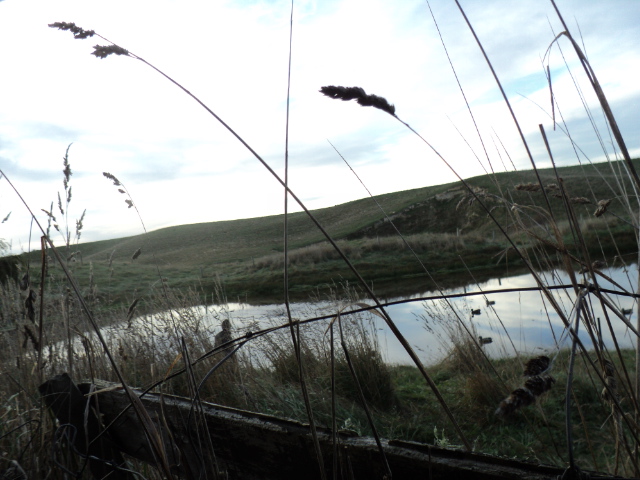 Name:  picture 5724.jpg
Views: 243
Size:  162.0 KB