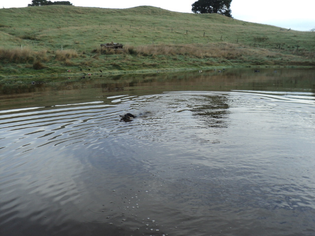 Name:  picture 5726.jpg
Views: 288
Size:  163.9 KB