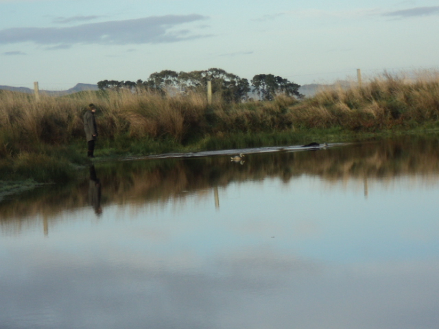 Name:  picture 5729.jpg
Views: 251
Size:  156.5 KB