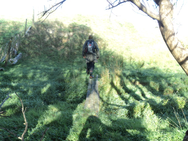Name:  picture 5736.jpg
Views: 251
Size:  162.8 KB