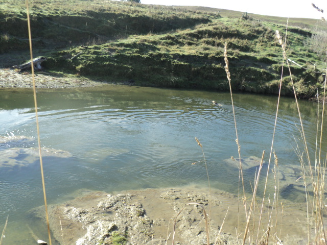 Name:  picture 5737.jpg
Views: 261
Size:  164.8 KB