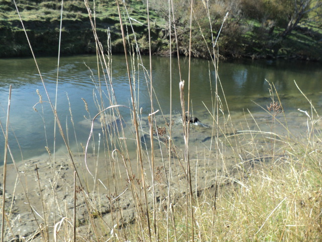 Name:  picture 5739.jpg
Views: 247
Size:  164.1 KB