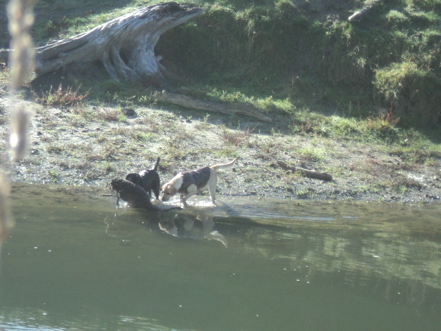 Name:  picture 5742.jpg
Views: 248
Size:  164.1 KB