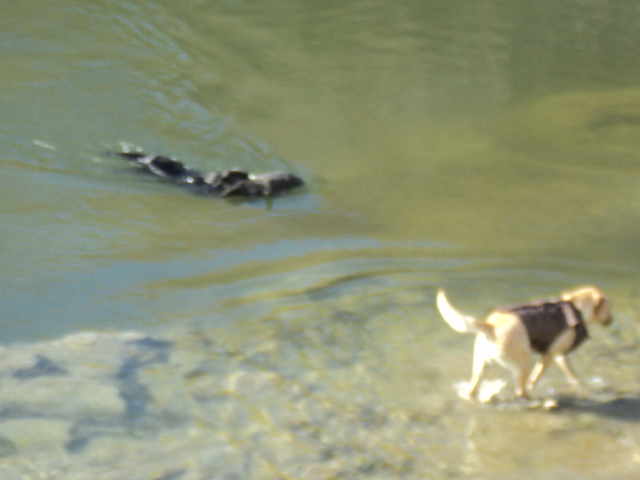 Name:  picture 5743.jpg
Views: 244
Size:  160.7 KB