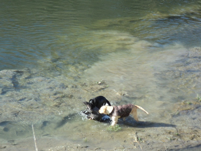 Name:  picture 5744.jpg
Views: 243
Size:  164.3 KB