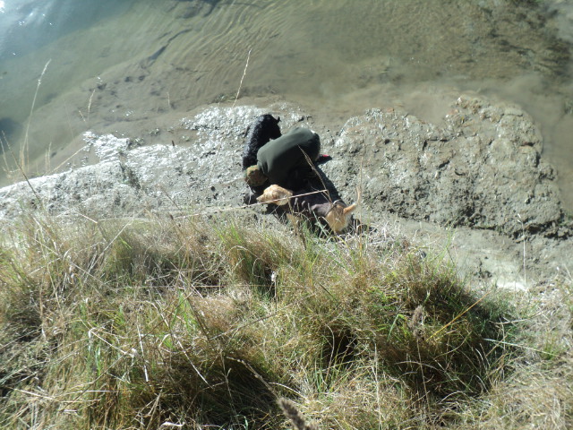 Name:  picture 5745.jpg
Views: 249
Size:  164.6 KB