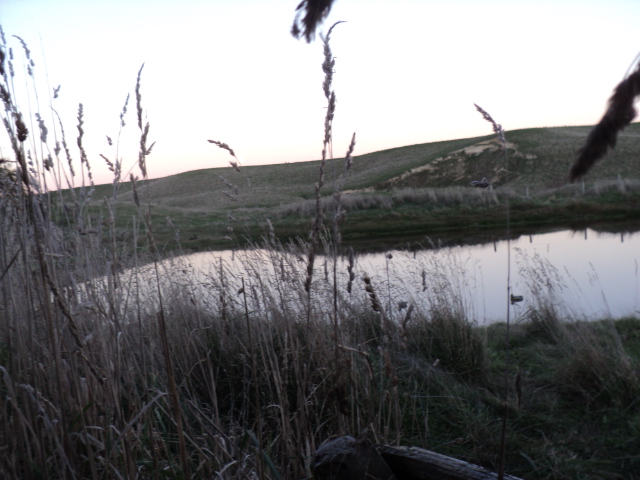 Name:  picture 5762.jpg
Views: 253
Size:  162.9 KB