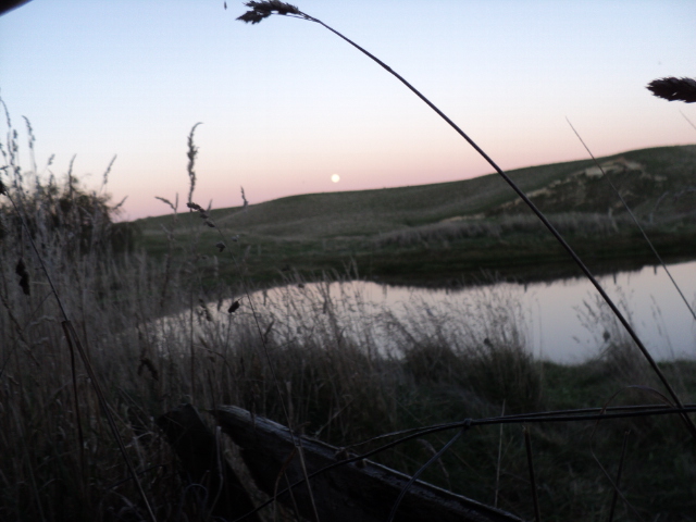 Name:  picture 5763.jpg
Views: 248
Size:  163.1 KB