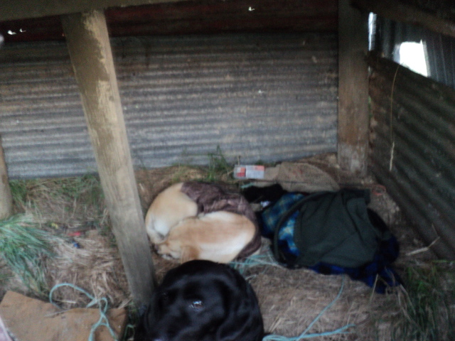 Name:  picture 5764.jpg
Views: 234
Size:  164.3 KB