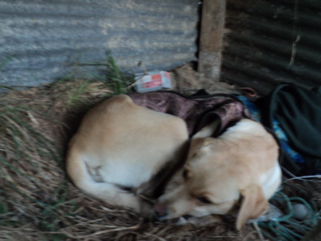 Name:  picture 5765.jpg
Views: 242
Size:  162.8 KB