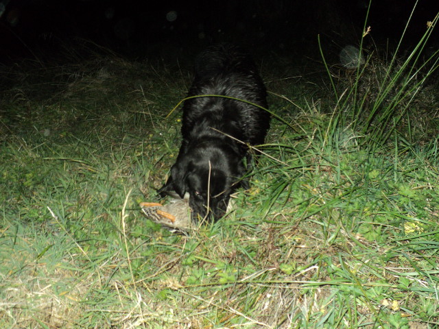 Name:  picture 5780.jpg
Views: 354
Size:  163.0 KB
