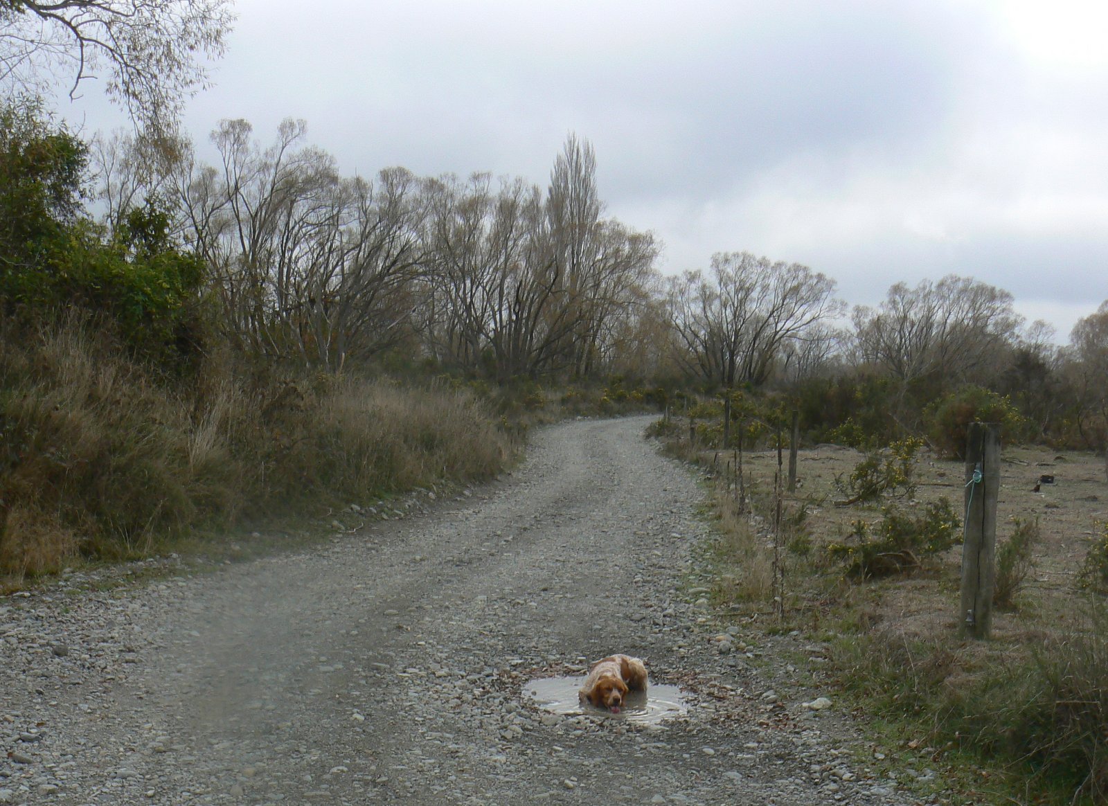 Name:  P1020580.JPG
Views: 285
Size:  404.2 KB